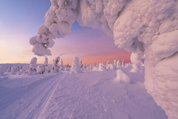 Snow-covered lands during a serene sunrise showcasing nature's beauty in wintertime, Finnish Lapland
