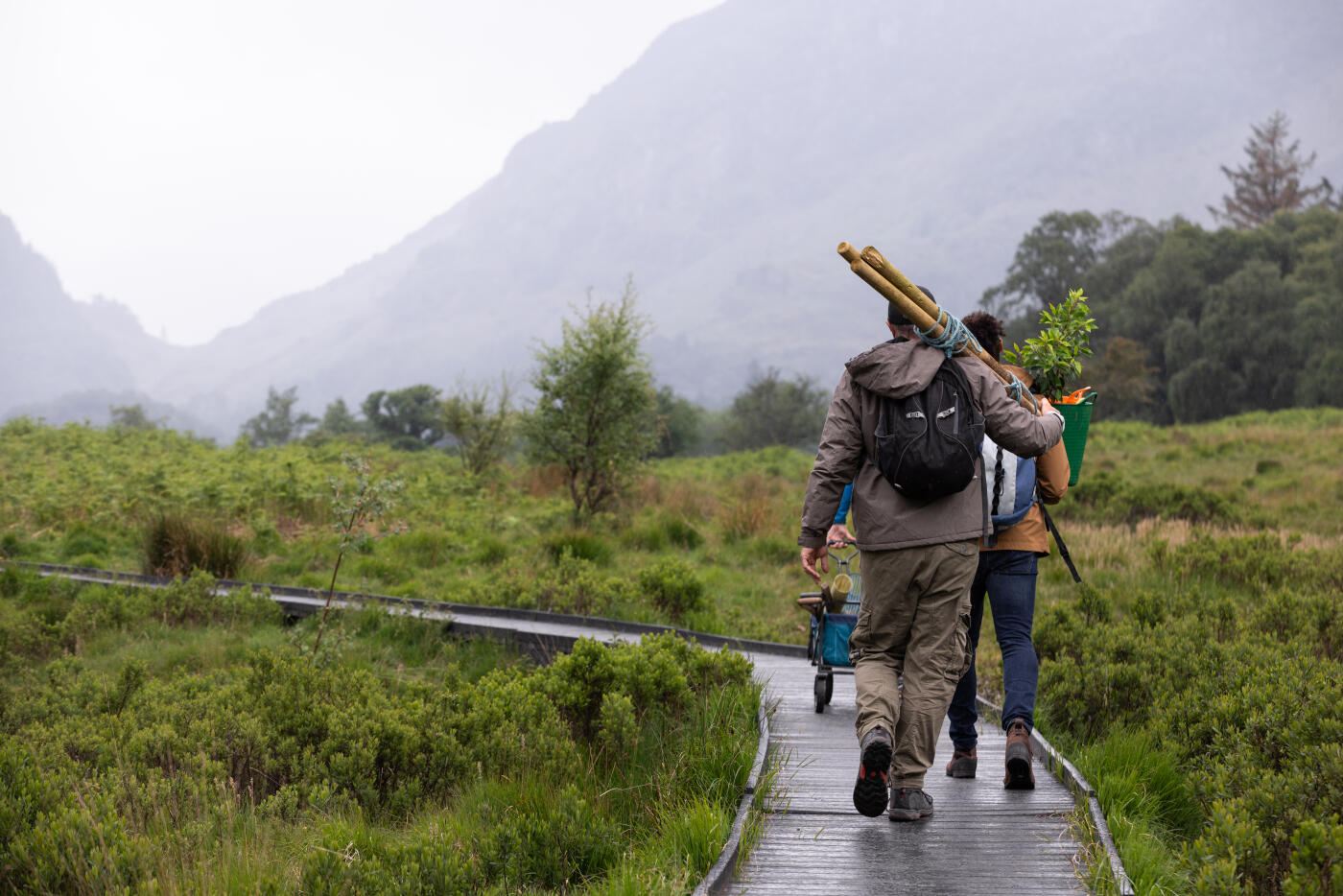 A wide rear-view of a small multiracial group of unrecognisable men wearing warm casual clothing on an overcast day in the Lake District, England. They are walking together along a sustainable footpath made from recycled plastic while carrying posts, digging tools and tree saplings. They are volunteering for the day with the task of planting trees in the area.Videos are available similar to this scenario.