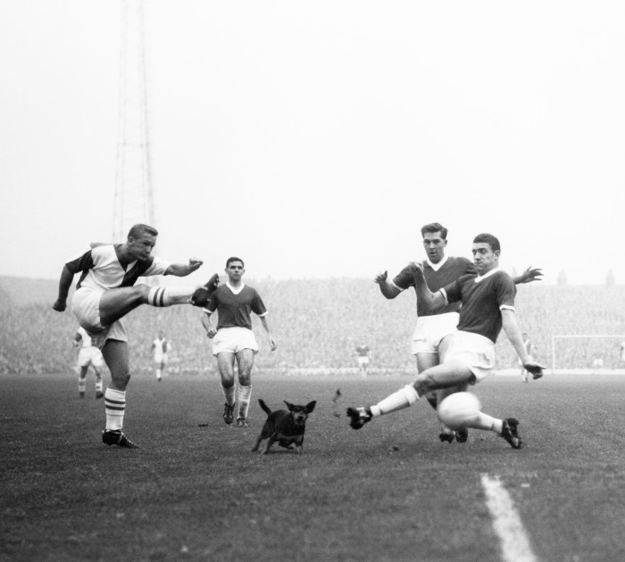 Peter Dobing of Blackburn Rovers (left) shoots past a stray dog and two Manchester United defenders, Ronnie Cope (1934 - 2016) and Bill Foulkes (1932 - 2013), right, during the First Division match between Blackburn Rovers and Manchester United on a misty afternoon at Ewood Park in Blackburn, 31st October 1959.