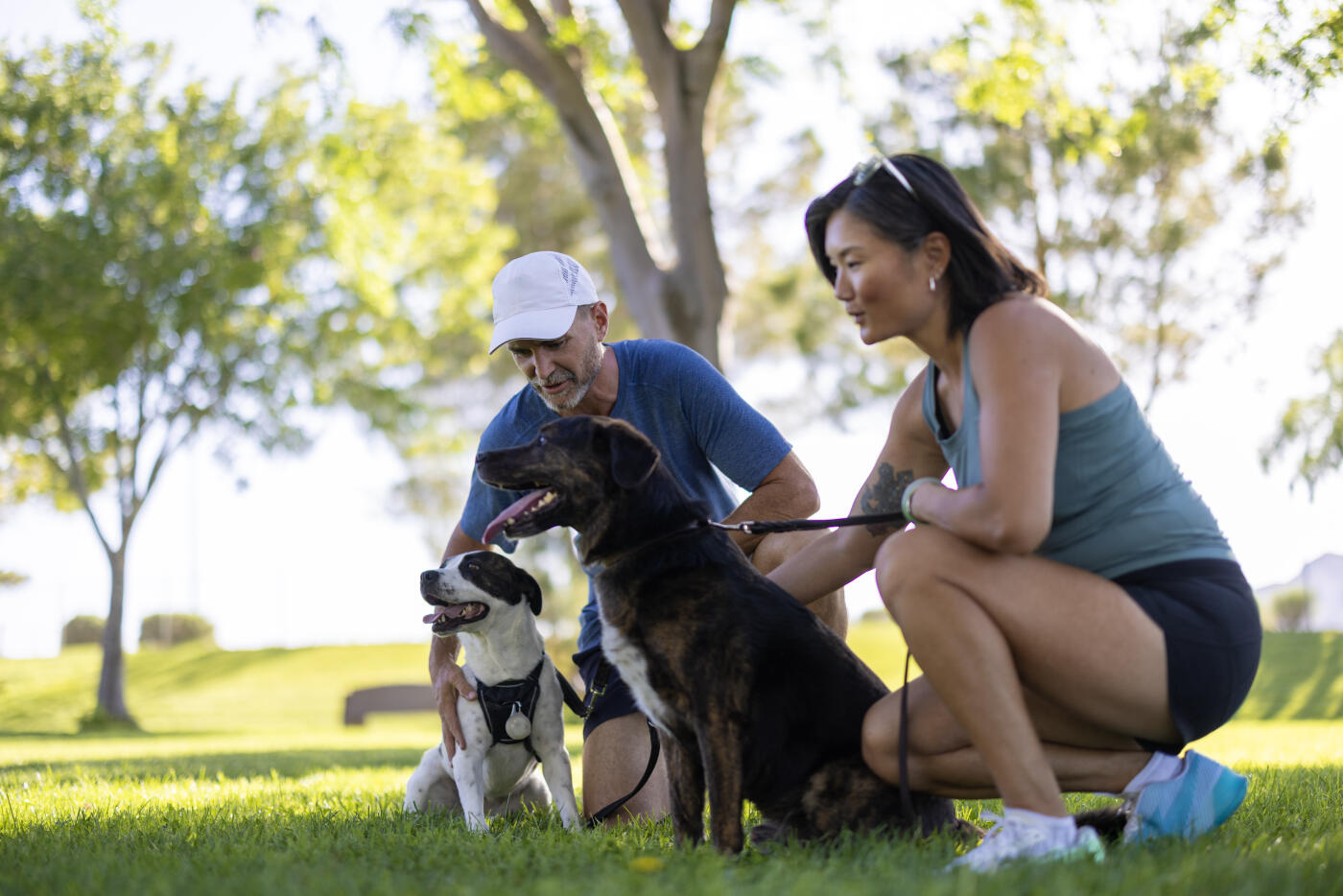 A couple walking their dogs at the park.