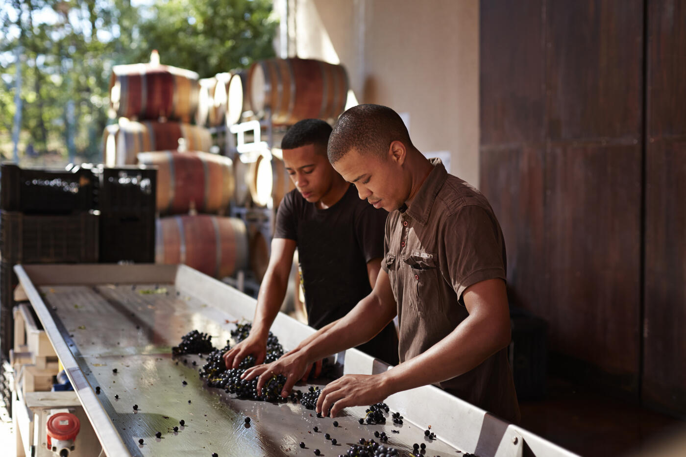 Sustainable winery