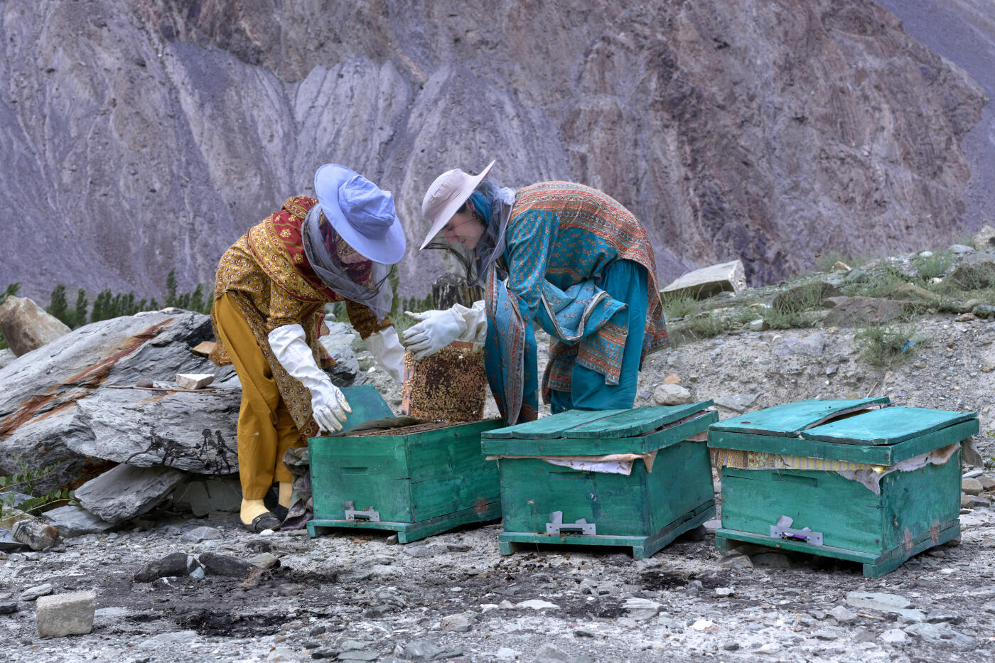 Two women beekeepers inspecting beehives in a mountainous area, wearing protective gear