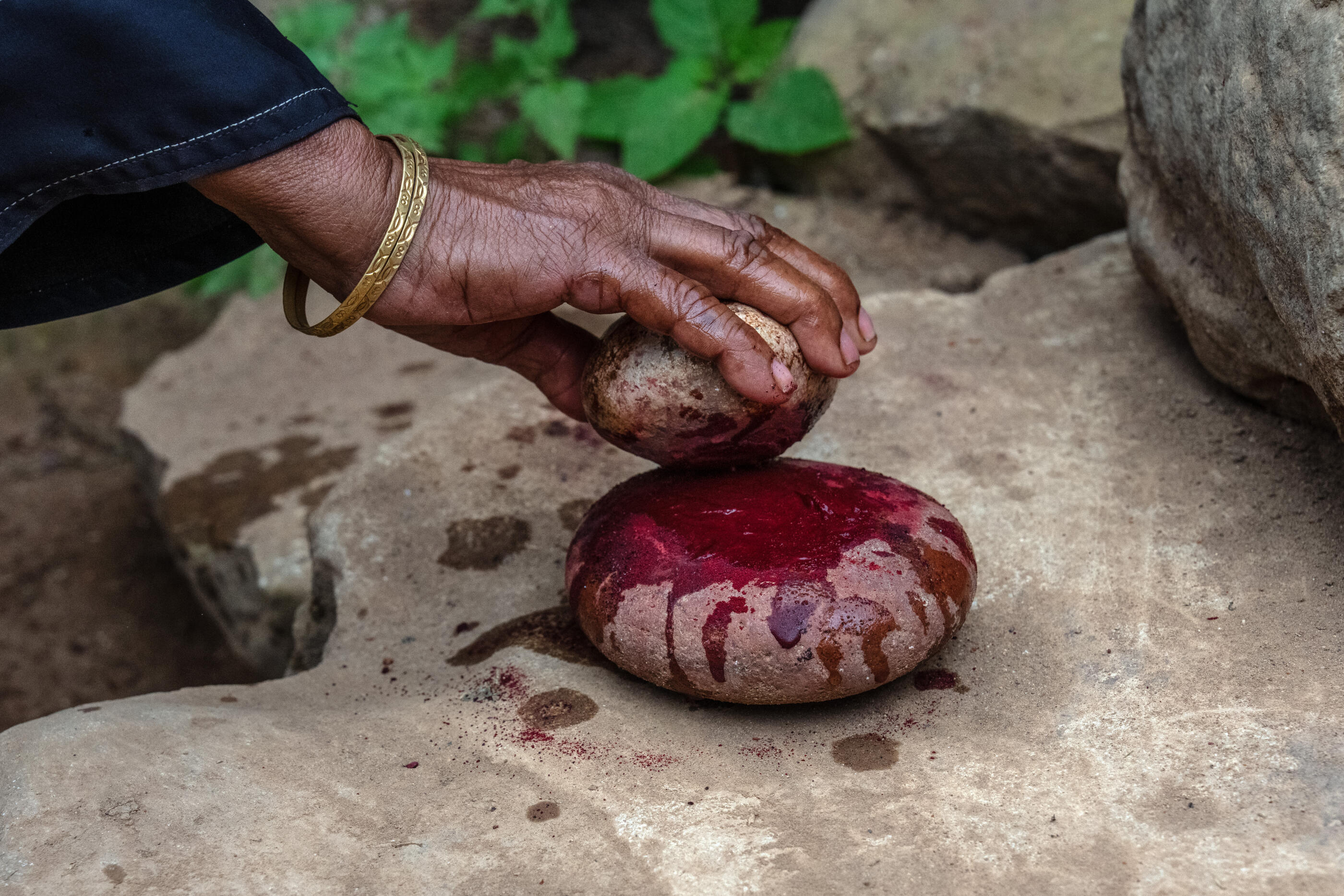 SOCOTRA ISLAND, YEMEN - OCTOBER 14: A woman demonstrates how to grind the resin from a dragon blood tree on October 14, 2025 in Socotra, Yemen. Socotra island, sometimes referred to as the "Galapagos Islands" of the Indian Ocean, lies about 150 miles off the coast of the Horn of Africa and is home to 825 plant species, more than a third of which are only found here. Among them are the otherworldly dragon's blood tree, bottle trees and 11 species of frankincense, 4 of which were classified as critically endangered in March of this year. The intensifying tropical cyclones in this part of the Indian Ocean, fuelled by climate change, has put the island's unique ecosystem at risk. Meanwhile, Yemen's civil war - as well as the region-destabilizing attacks on commercial vessels in the Red Sea - have complicated conservation efforts. (Photo by Carl Court/Getty Images)