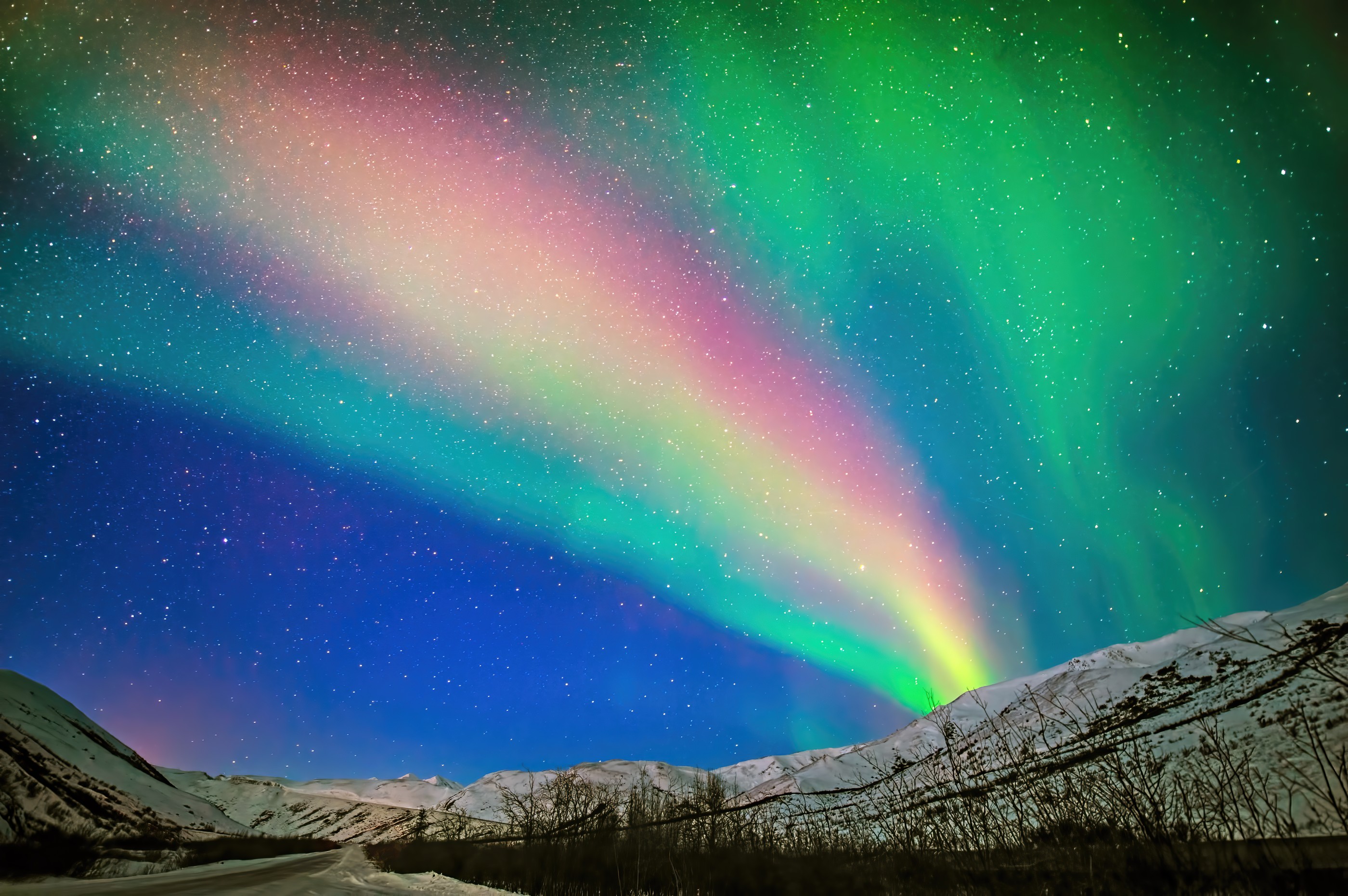 Northern Lights along Dalton Highway  - Alaska - USA