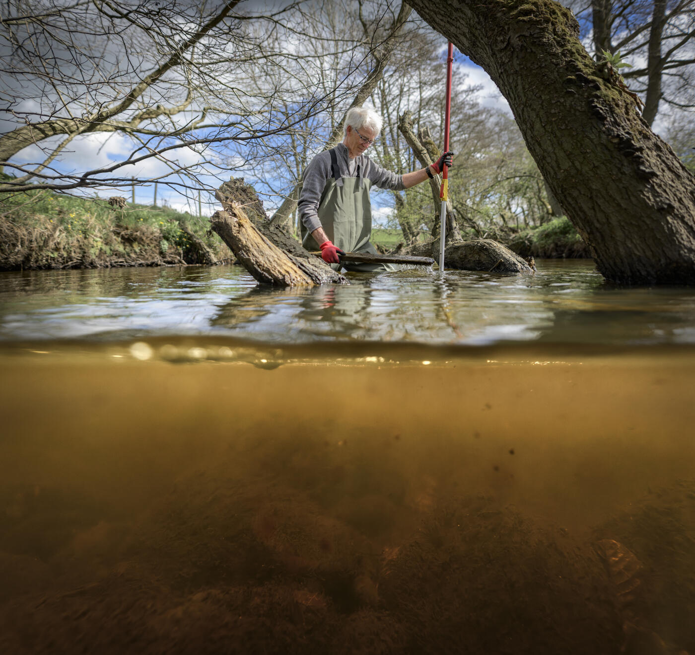 Man wading in a natural river showing an underwater view, rewilding land in Yorkshire, England, United Kingdom, practicing environmental conservation and regeneration.