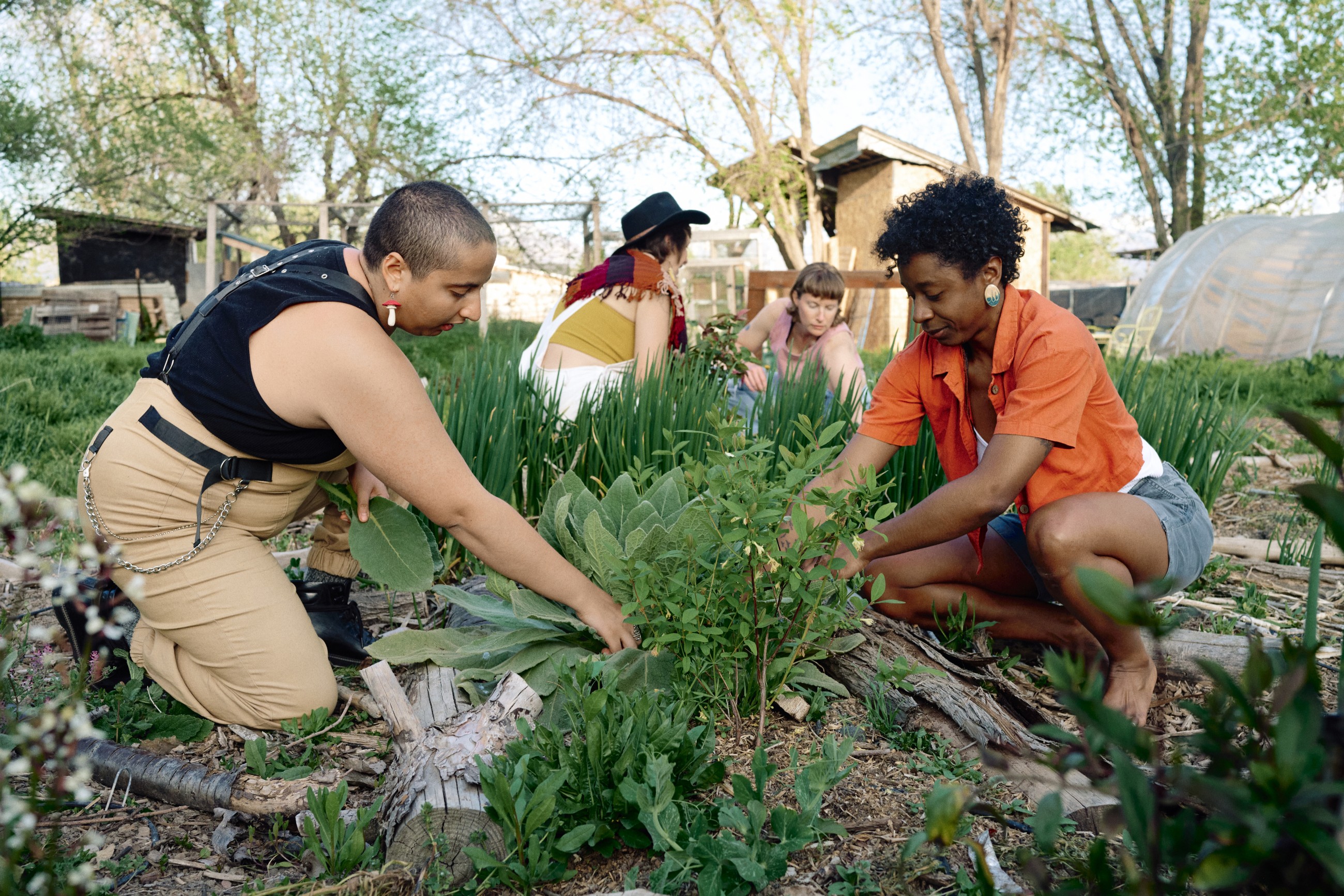 People working in vegetable garden at agricultural co-op