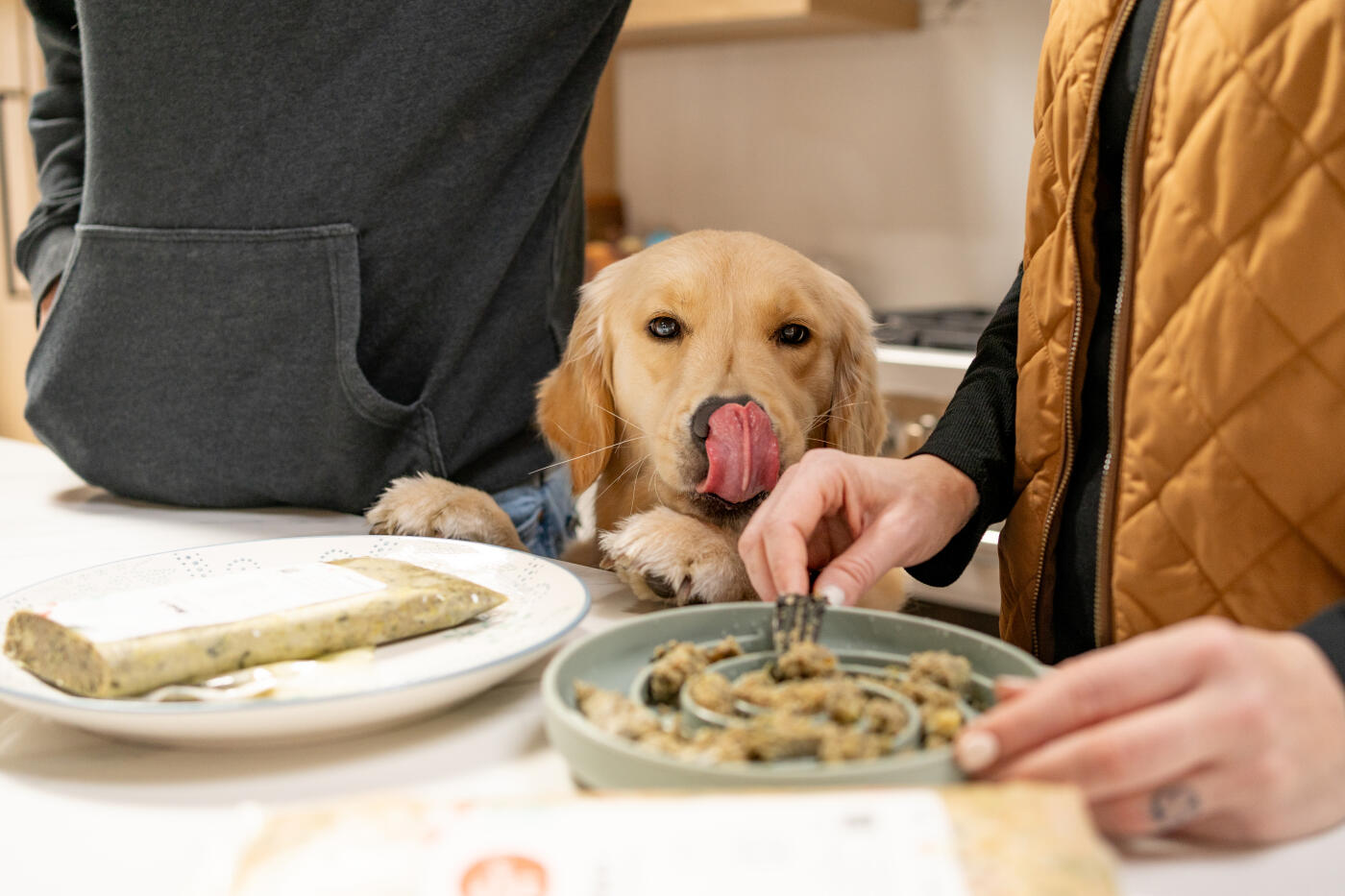 Woman preparing a natural food for her dog and the dog looking at the food