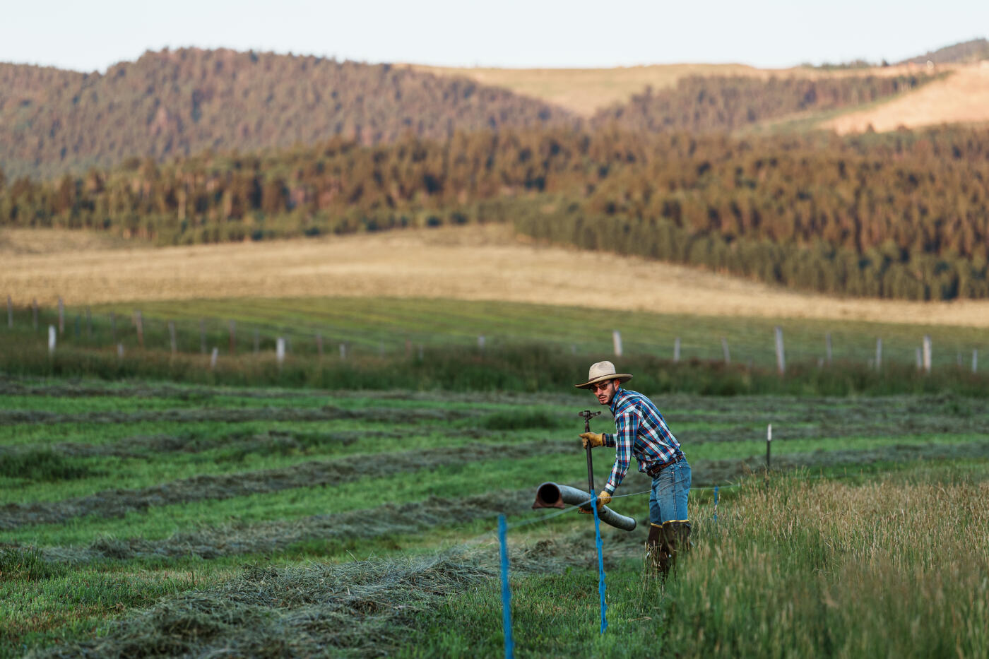 At dawn, a rancher begins setting up a solar-powered electric fence in a freshly cut field beneath the mountains of rural Wyoming.