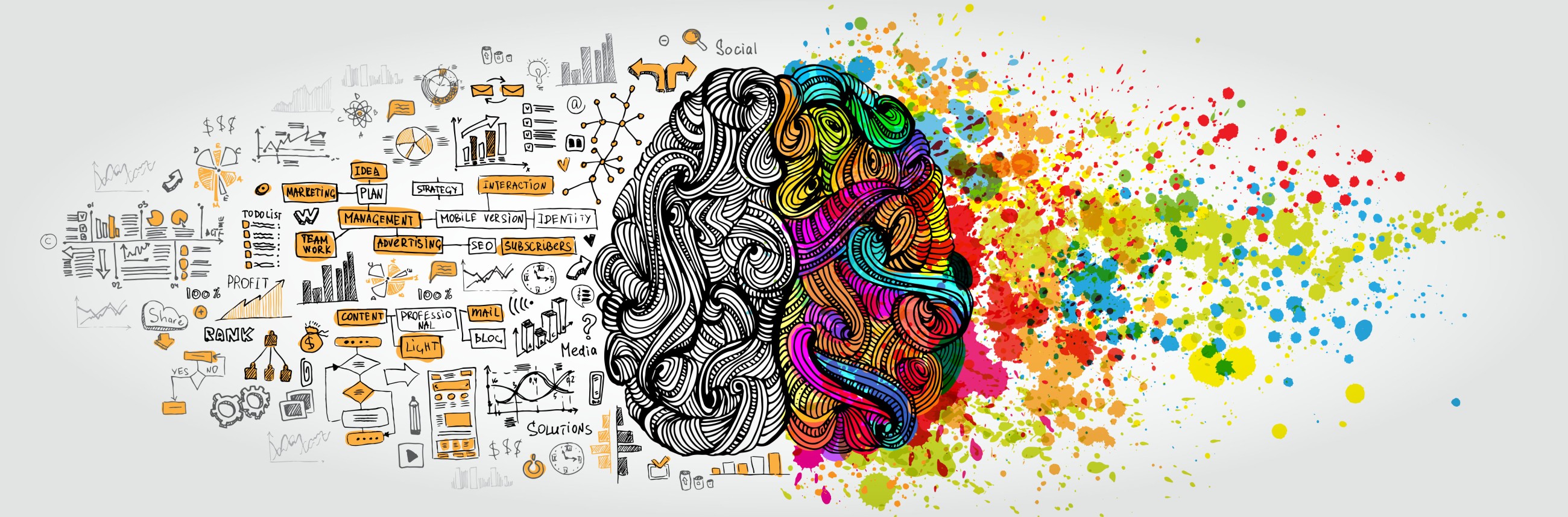 Left right human brain concept. Creative part and logic part with social and business doodle