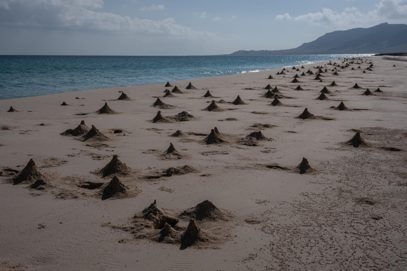 SOCOTRA ISLAND, YEMEN - OCTOBER 12: Ghost crab nests dot the beach on October 12, 2025 in Socotra, Yemen. Socotra island, sometimes referred to as the "Galapagos Islands" of the Indian Ocean, lies about 150 miles off the coast of the Horn of Africa and is home to 825 plant species, more than a third of which are only found here. Among them are the otherworldly dragon's blood tree, bottle trees and 11 species of frankincense, 4 of which were classified as critically endangered in March of this year. The intensifying tropical cyclones in this part of the Indian Ocean, fuelled by climate change, has put the island's unique ecosystem at risk. Meanwhile, Yemen's civil war - as well as the region-destabilizing attacks on commercial vessels in the Red Sea - have complicated conservation efforts. (Photo by Carl Court/Getty Images)