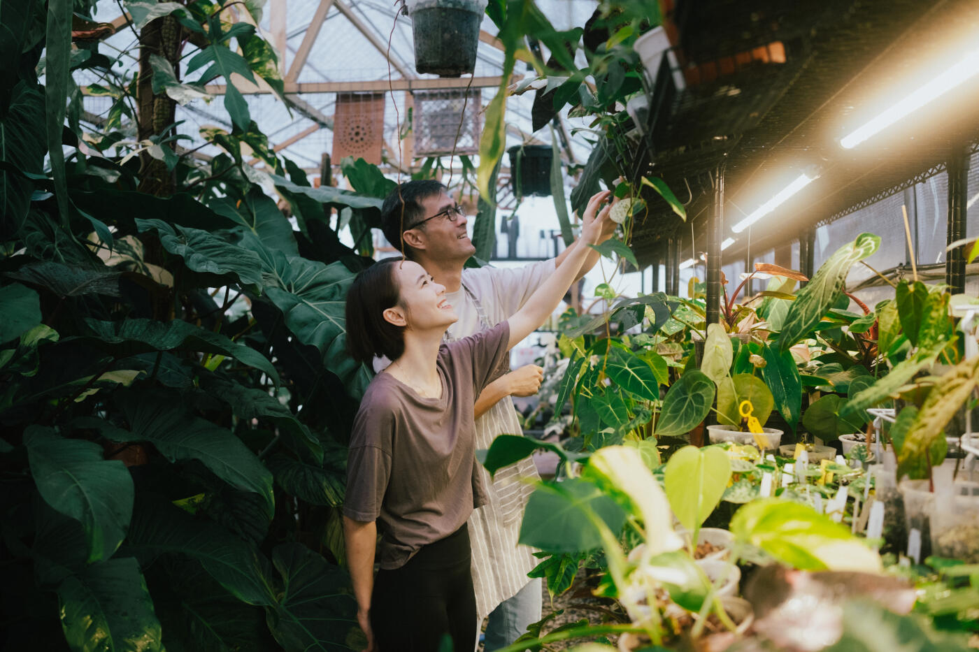 Asian urban farmers at work
