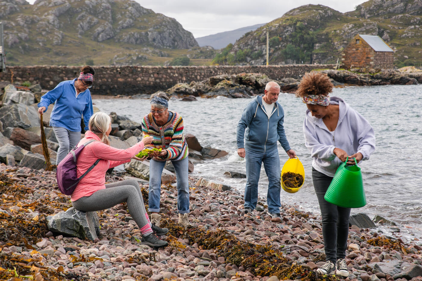 A side view of a group of senior friends who are taking part in a Scottish coastal beach clean up in Loch Torridon. They are using plastic bins to clean and they are also keeping a keen eye out for plastics and rotten seaweed as they clean the beach. They want to make a difference to the coast with their contribution.