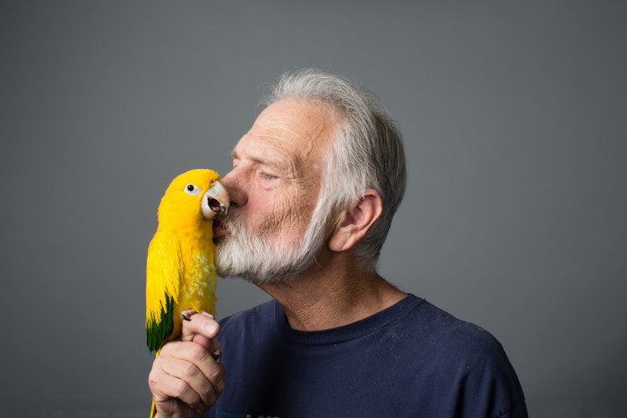 Man with Golden Conure (Guaruba guarouba)