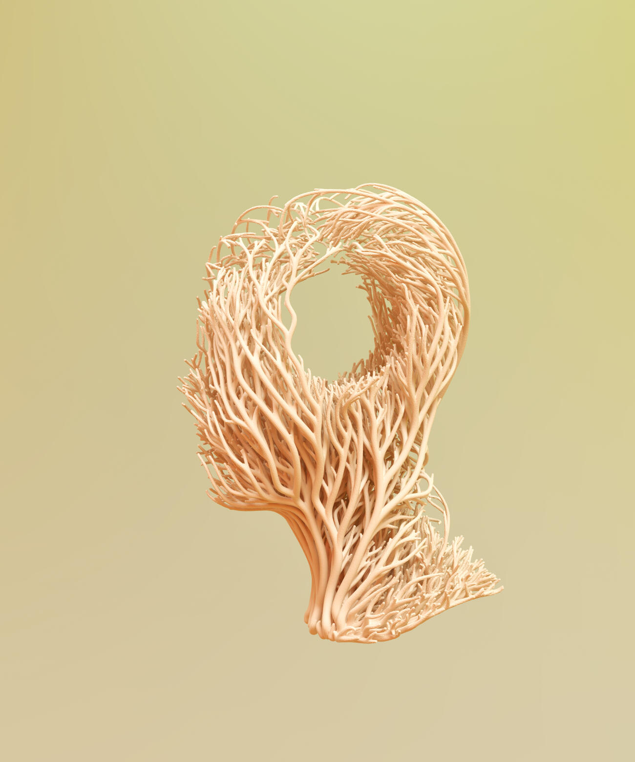 Digitally generated image