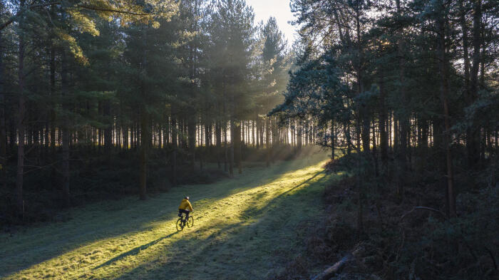 Elevated/drone view of an adventure cyclist on his gravel bike in the forest on a cold but sunny winter's morning