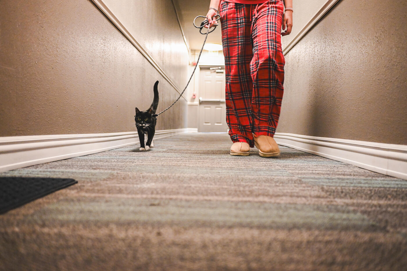 Person walking tuxedo cat on a leash down an apartment building hallway