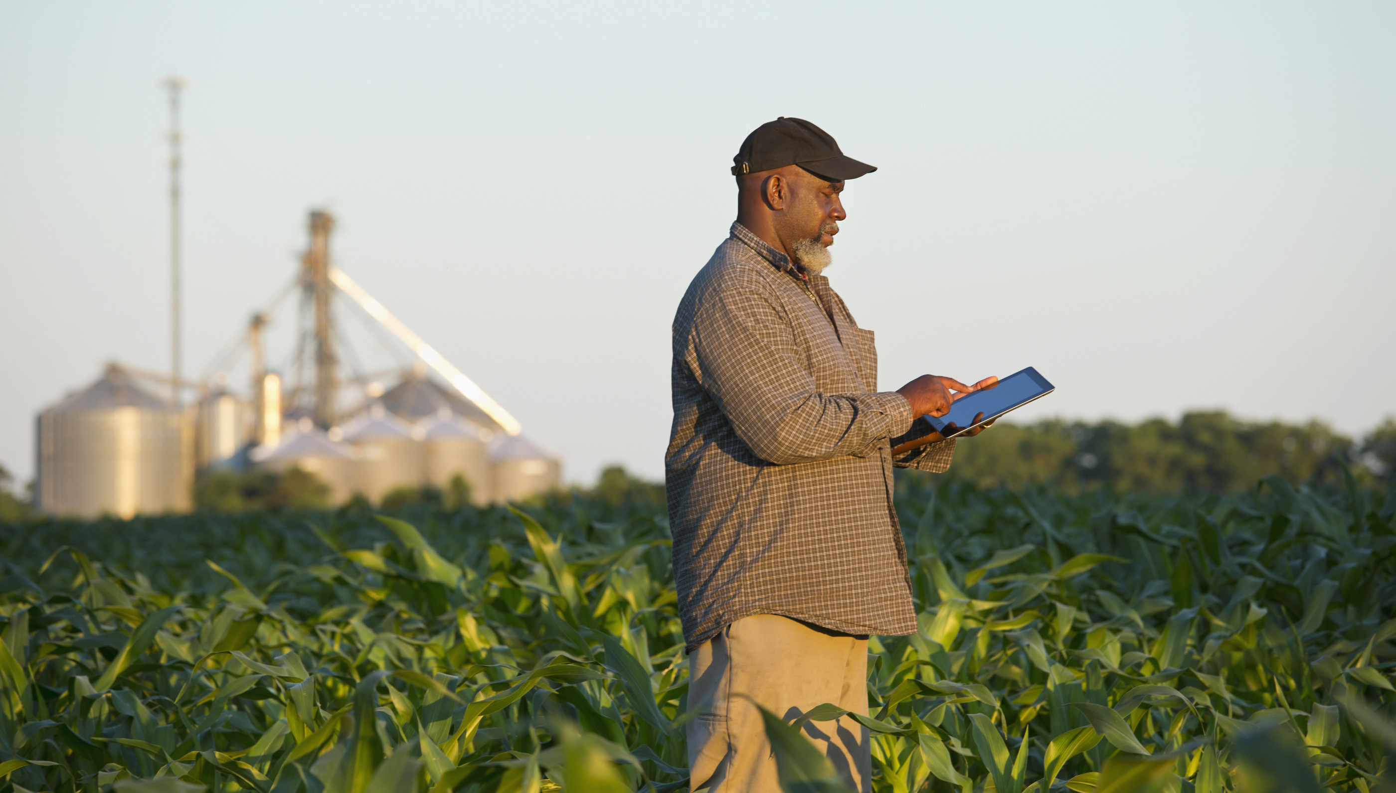Agrarian Life Creative Insights Getty Images