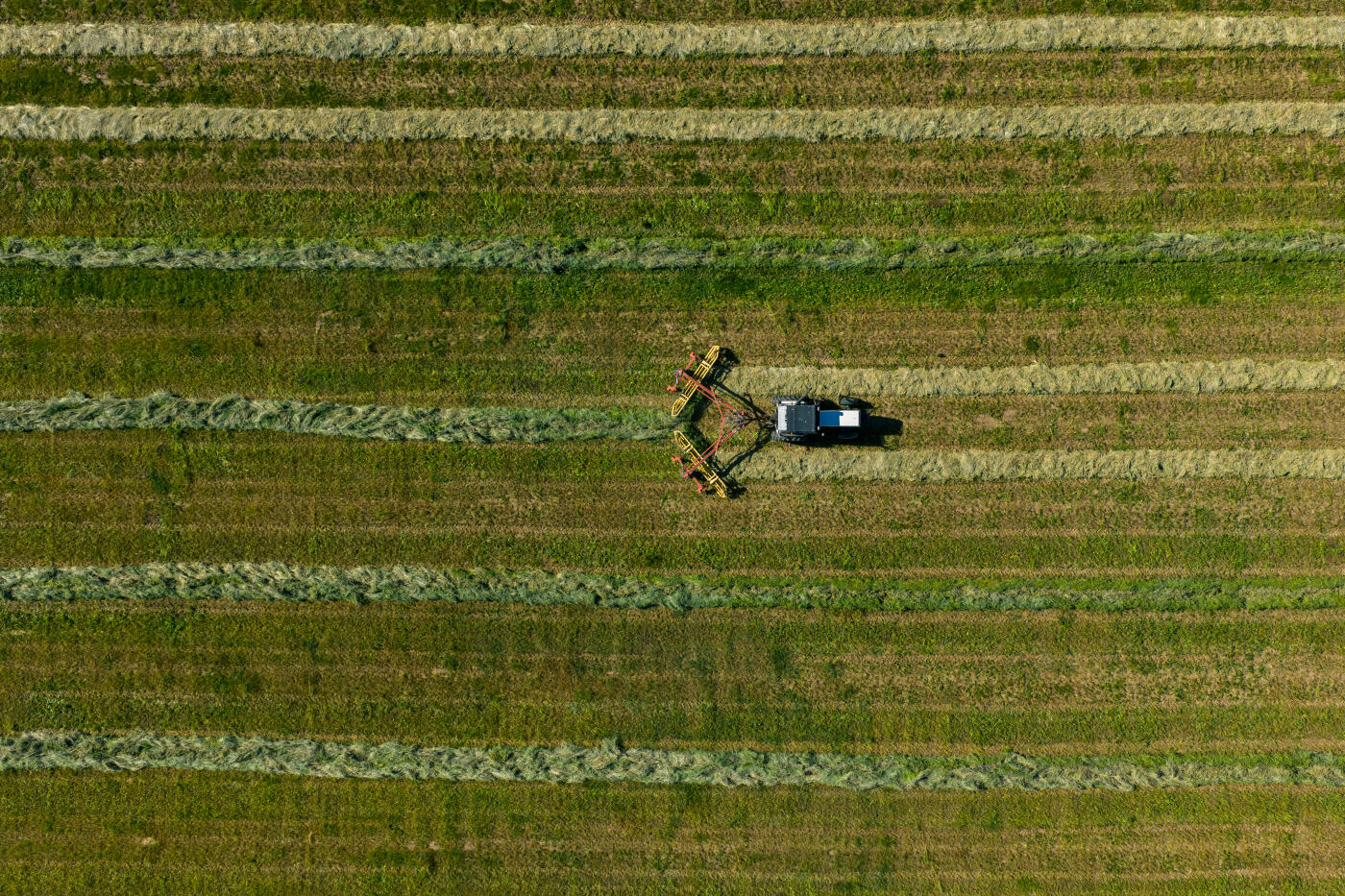 Overhead view of a tractor towing a rotary rake across a green field, preparing rows of hay for baling during harvest season on a Wyoming ranch.