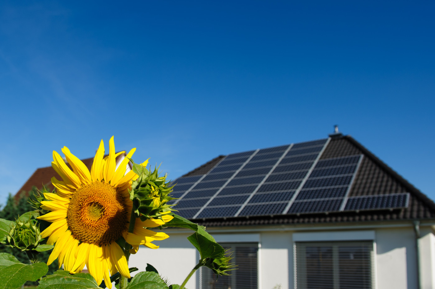 Die Sonne nutzen: Erneuerbare Energien im eigenen Haus