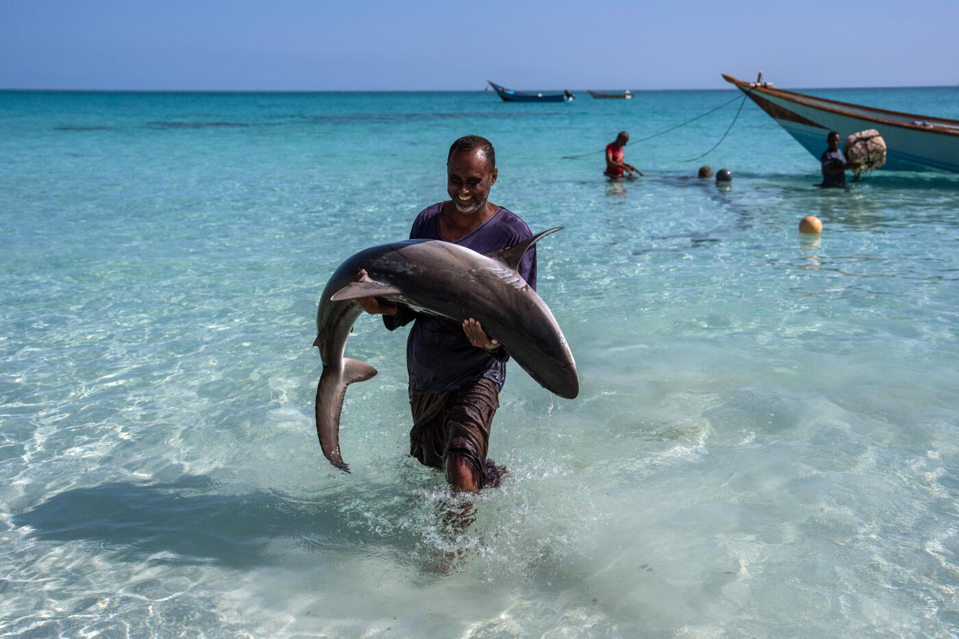 SOCOTRA ISLAND, YEMEN - OCTOBER 16: A fisherman carries a shark onto the beach on October 16, 2025 in Socotra, Yemen. Socotra island, sometimes referred to as the "Galapagos Islands" of the Indian Ocean, lies about 150 miles off the coast of the Horn of Africa and is home to 825 plant species, more than a third of which are only found here. Among them are the otherworldly dragon's blood tree, bottle trees and 11 species of frankincense, 4 of which were classified as critically endangered in March of this year. The intensifying tropical cyclones in this part of the Indian Ocean, fuelled by climate change, has put the island's unique ecosystem at risk. Meanwhile, Yemen's civil war - as well as the region-destabilizing attacks on commercial vessels in the Red Sea - have complicated conservation efforts. (Photo by Carl Court/Getty Images)