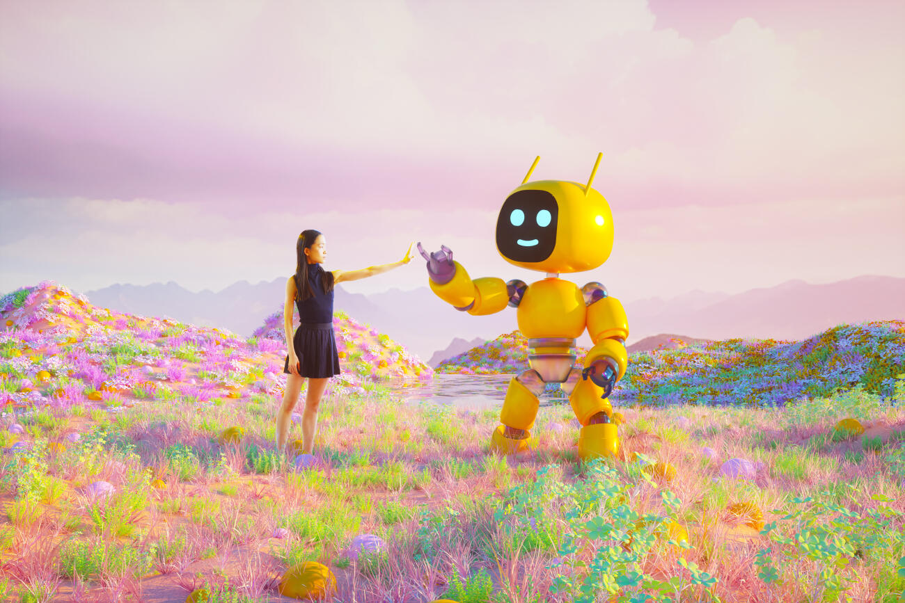 Robot meet human