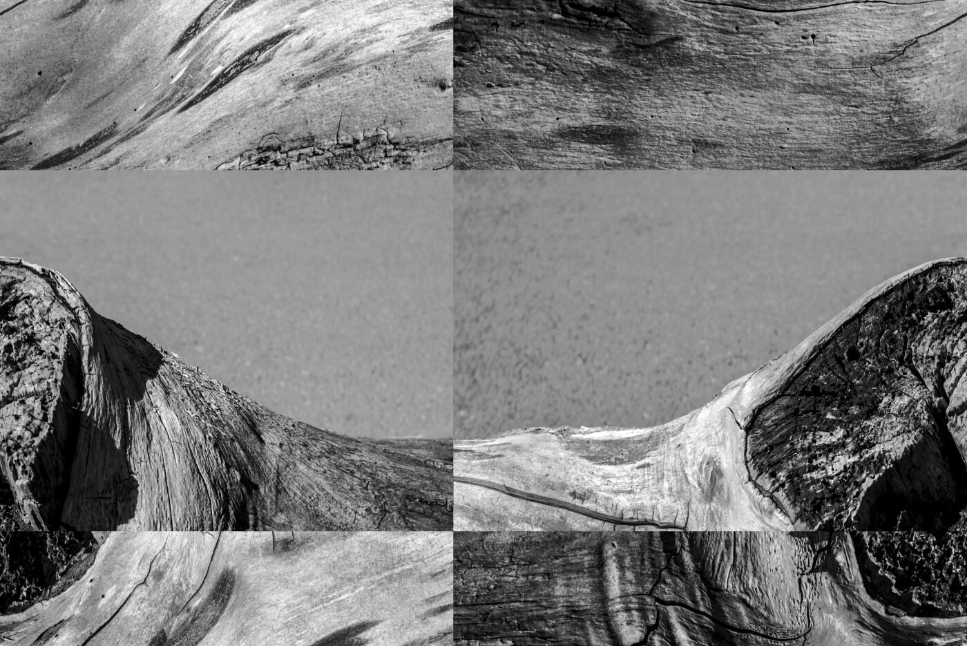 Composition with natural elements offering a surreal view.