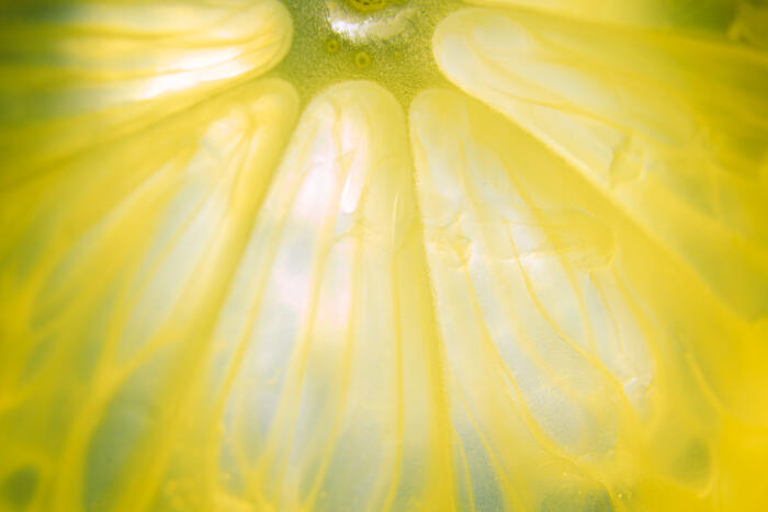 Texture of a lemon slice extremely close-up