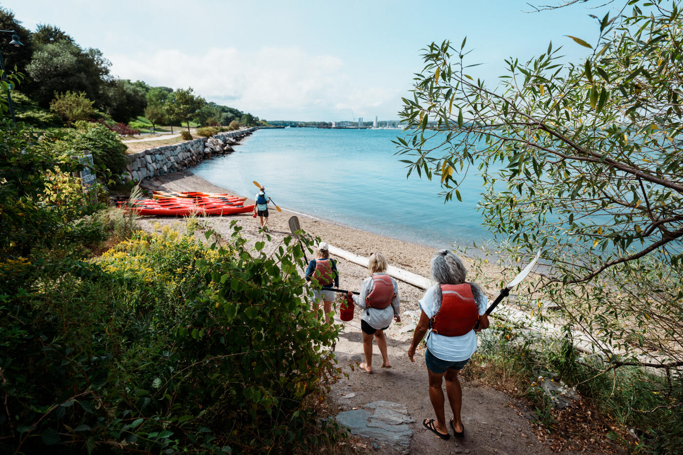 Rear view of a multiracial group of senior adult friends wearing life jackets and carrying oars walking down a dirt path toward a small beach where their kayaks rest on the shore, on a summer afternoon in Portland, Maine.