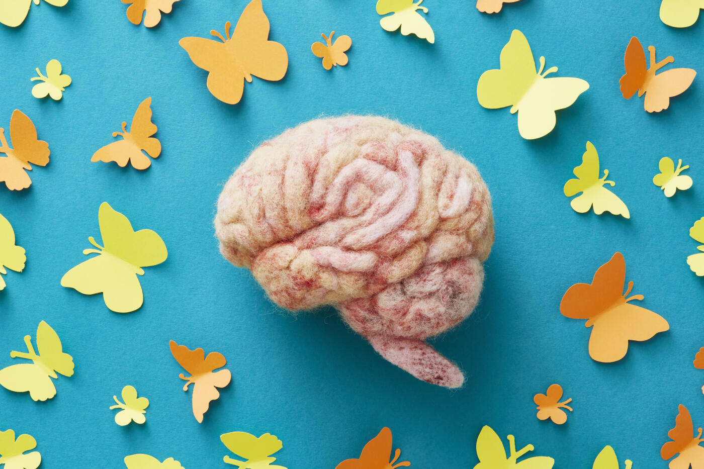 A human brain model made by needle felting