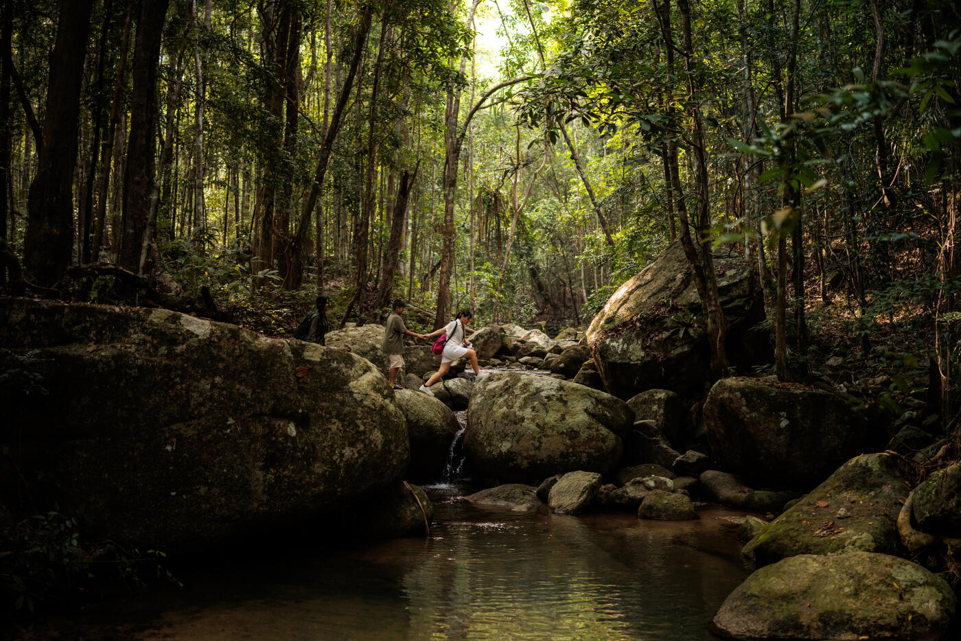 A family helps each other cross a river in the forest of Koh Phangan National Park to continue their walk and exploration of the park’s natural beauty.