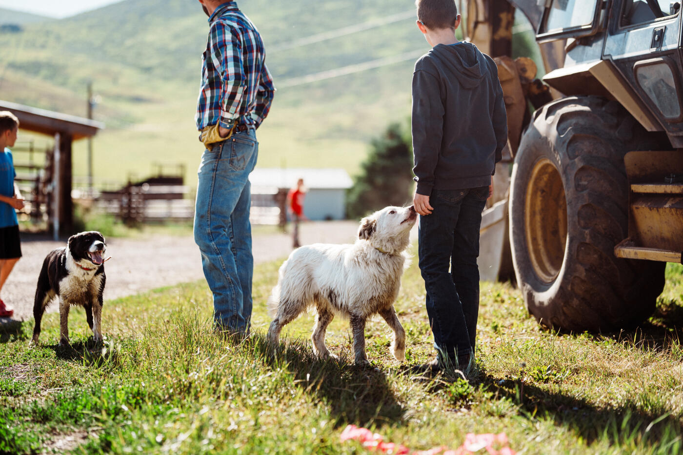 A tween boy helps his father train their herding dogs in the yard of their Wyoming ranch.