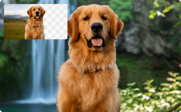Background Replacement