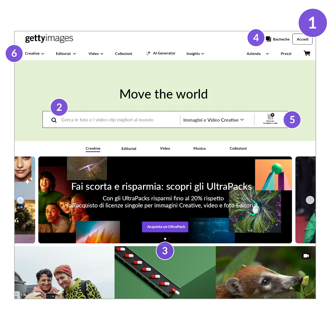 Come iniziare una ricerca dalla home page