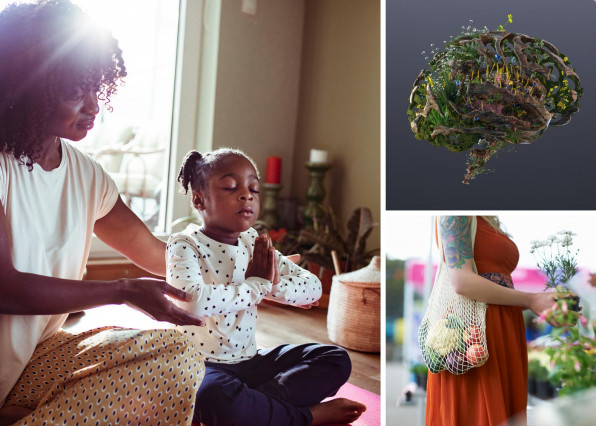 Sustainability and wellness