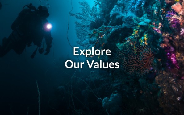 gi-explore-our-values-buttonjpeg.jpeg
