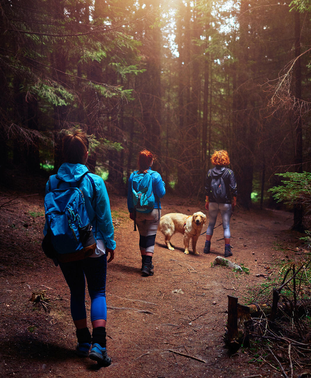 旅行のビジュアル表現方法（2026年）