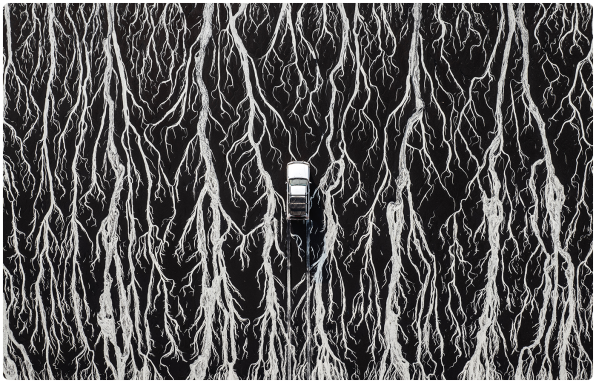 Non li vedrai mai altrove