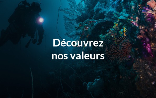 ExploreOurValues_frFR.jpg