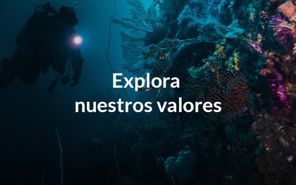 ExploreOurValues_esXM.jpg