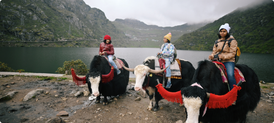 Travel | Getty Images