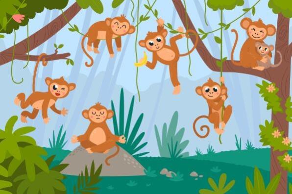 Dieren illustraties