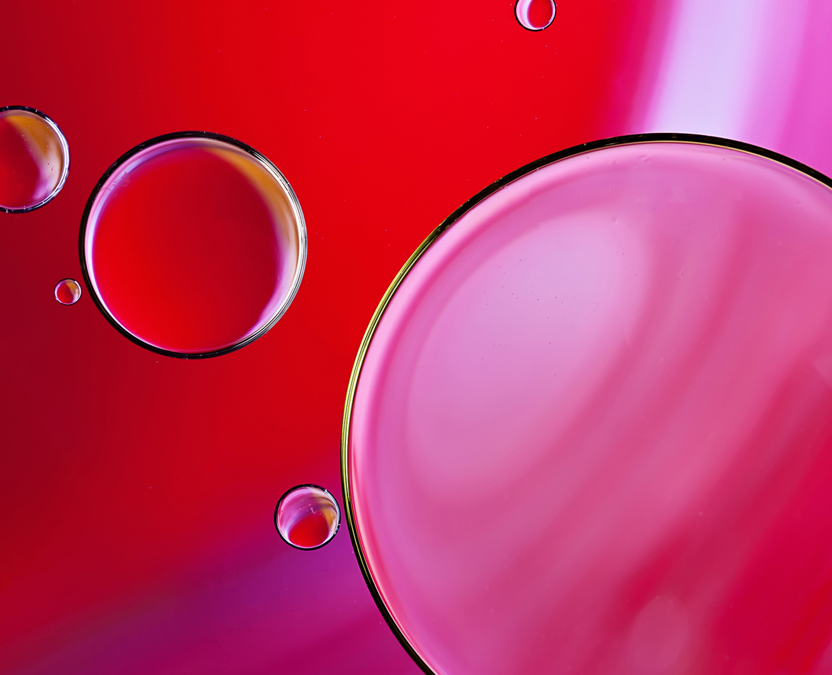 Close up of oil bubbles on water