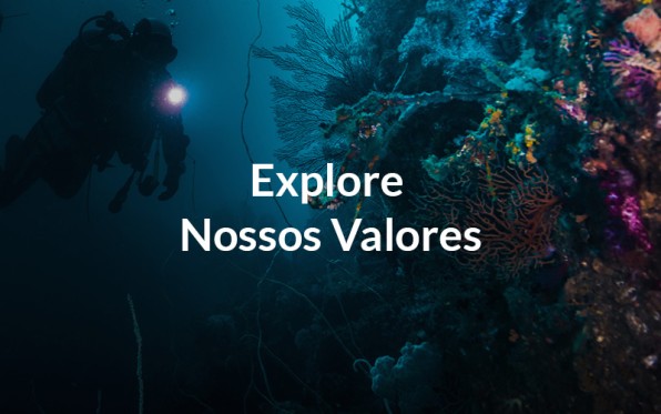 ExploreOurValues_ptBR.jpg